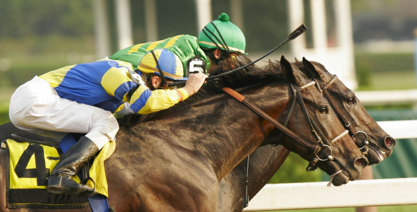 Local Horse Races