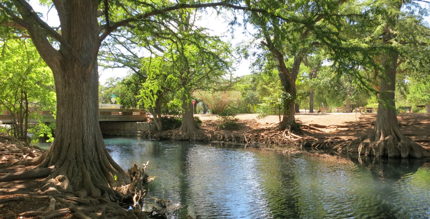 Local River