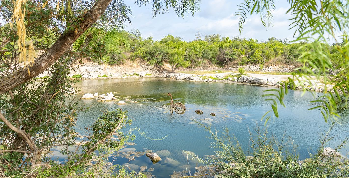 Local Fishing Pond