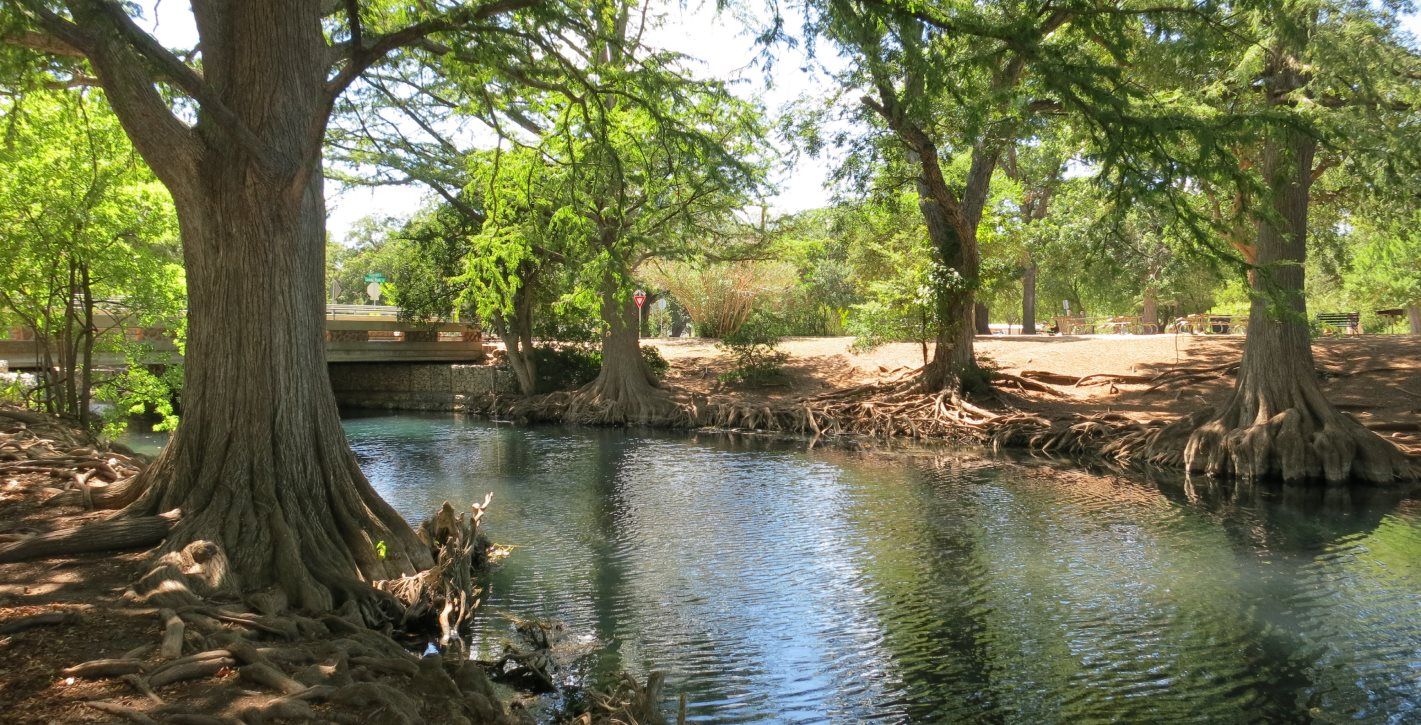 The Guadalupe River
