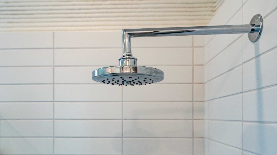 WolfRanch3D Shower