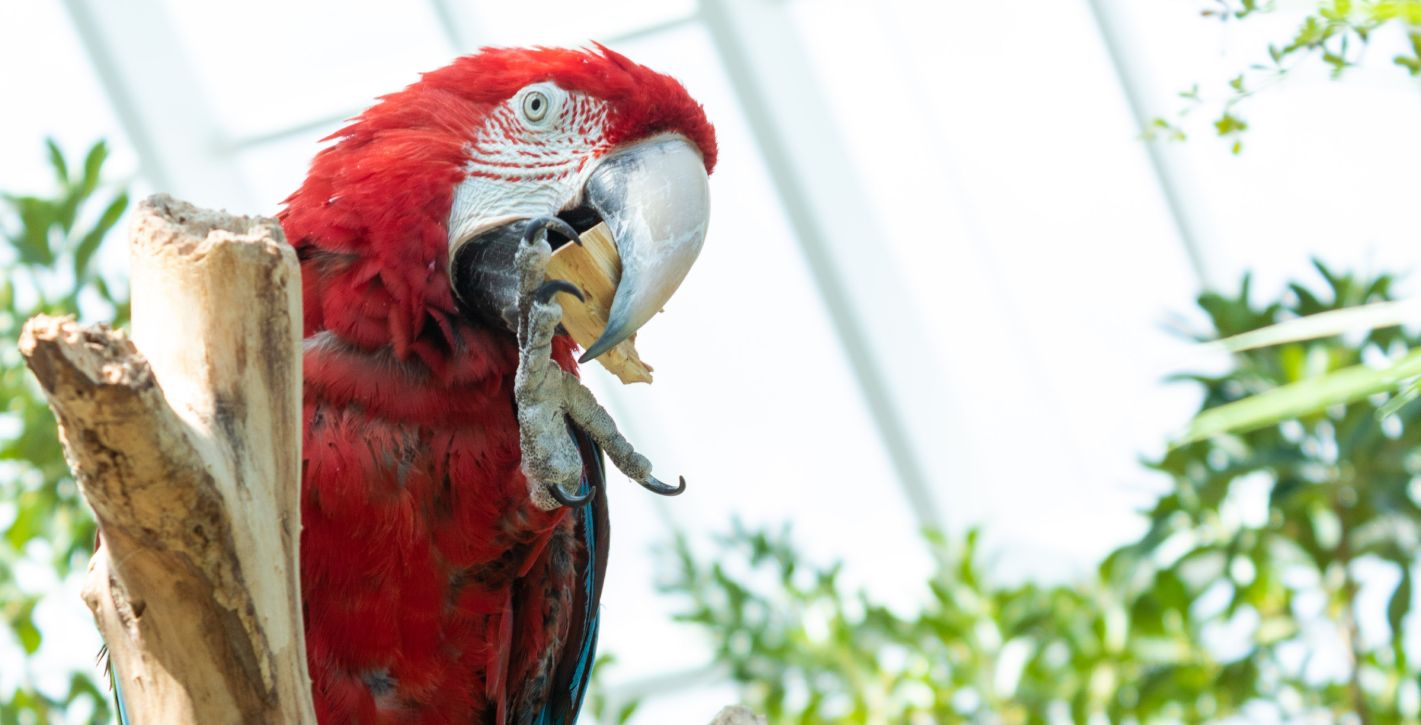 Texas State Aquarium