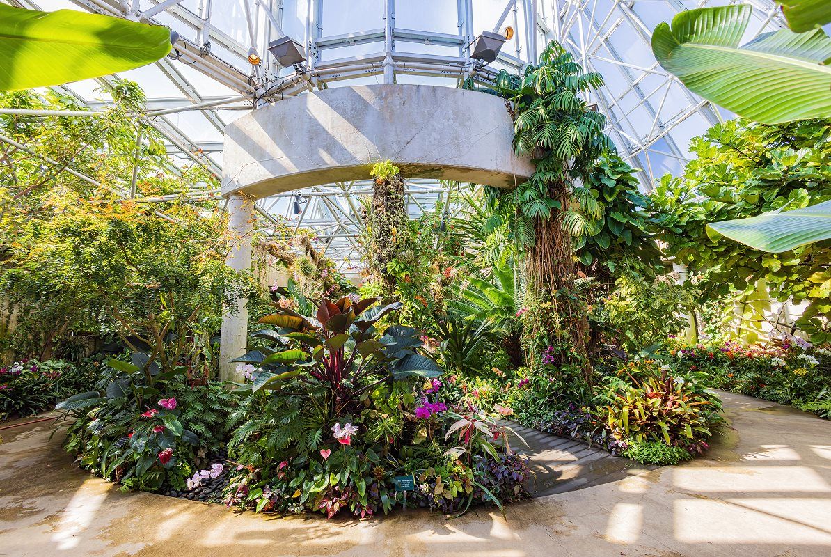 Hidden Oasis