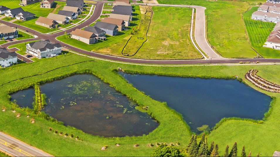 Community Pond