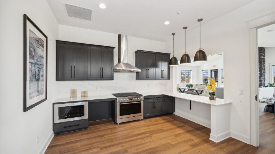 Watermark Clubhouse Kitchen Amenity