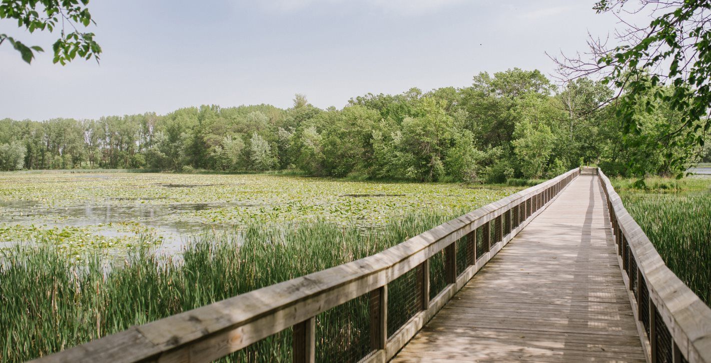The Oakdale Nature Preserve