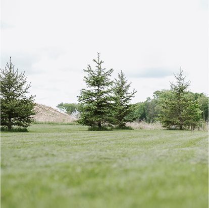 There is plenty of open green space in the community