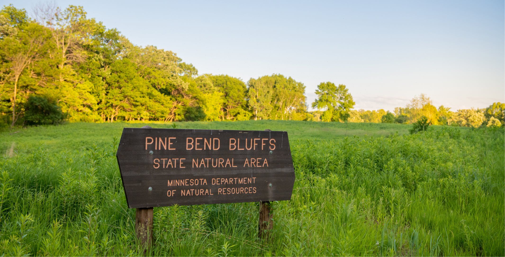 Pine Bend Bluffs is a great place to experience the stunning nature