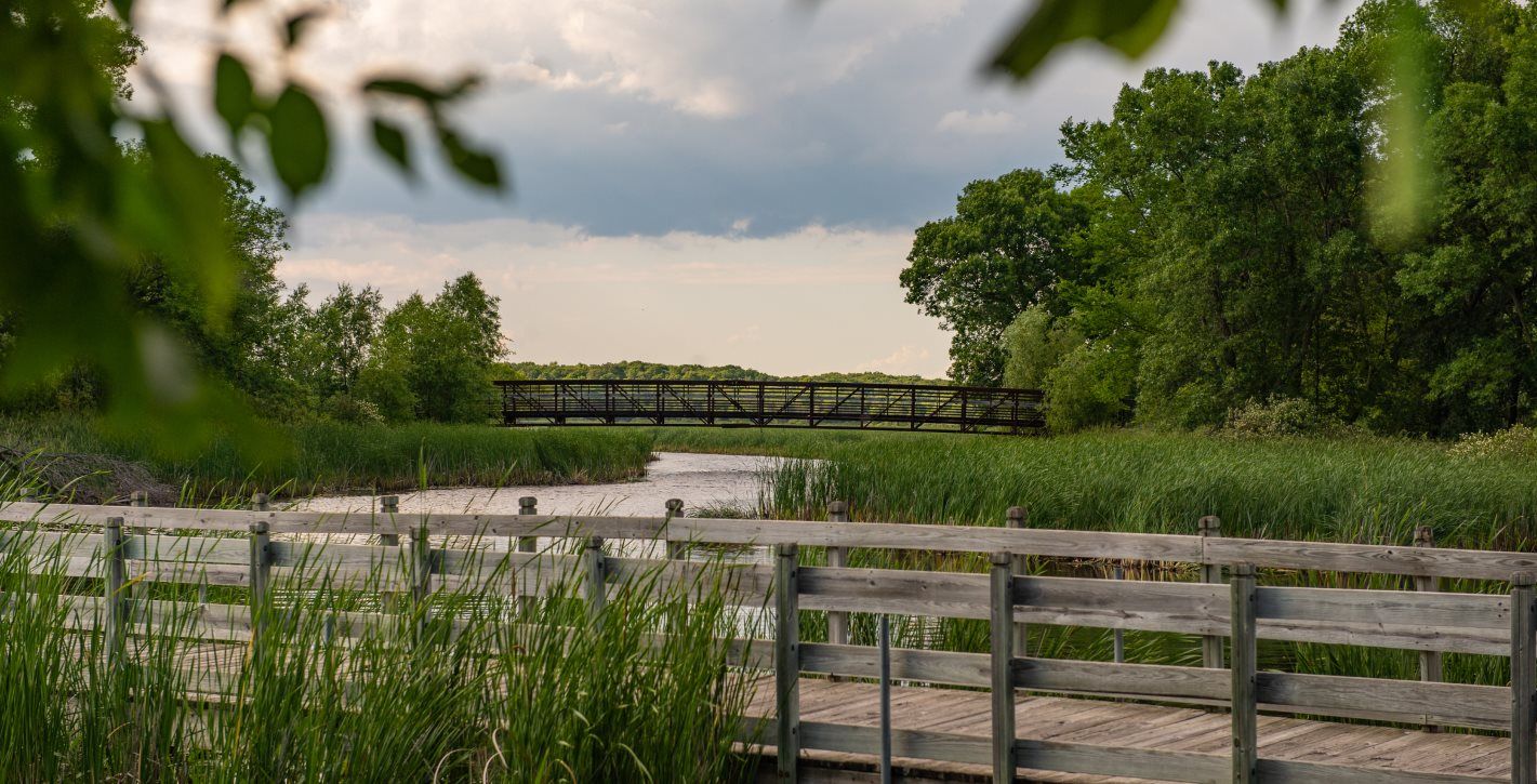 Rice Creek Trails
