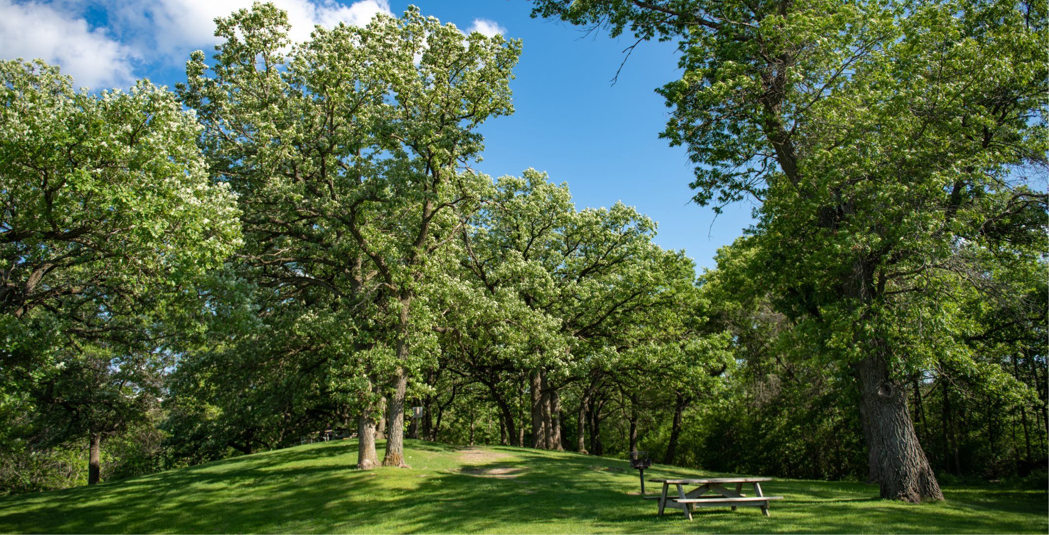 Ritter Farm Park