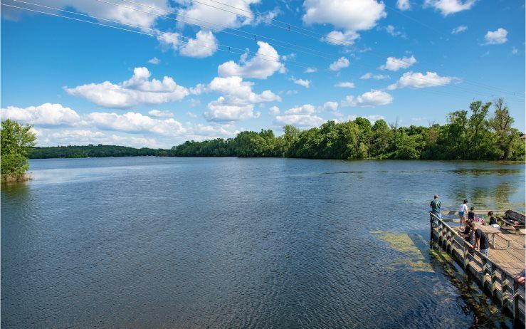 There are several docks along Marion Lake