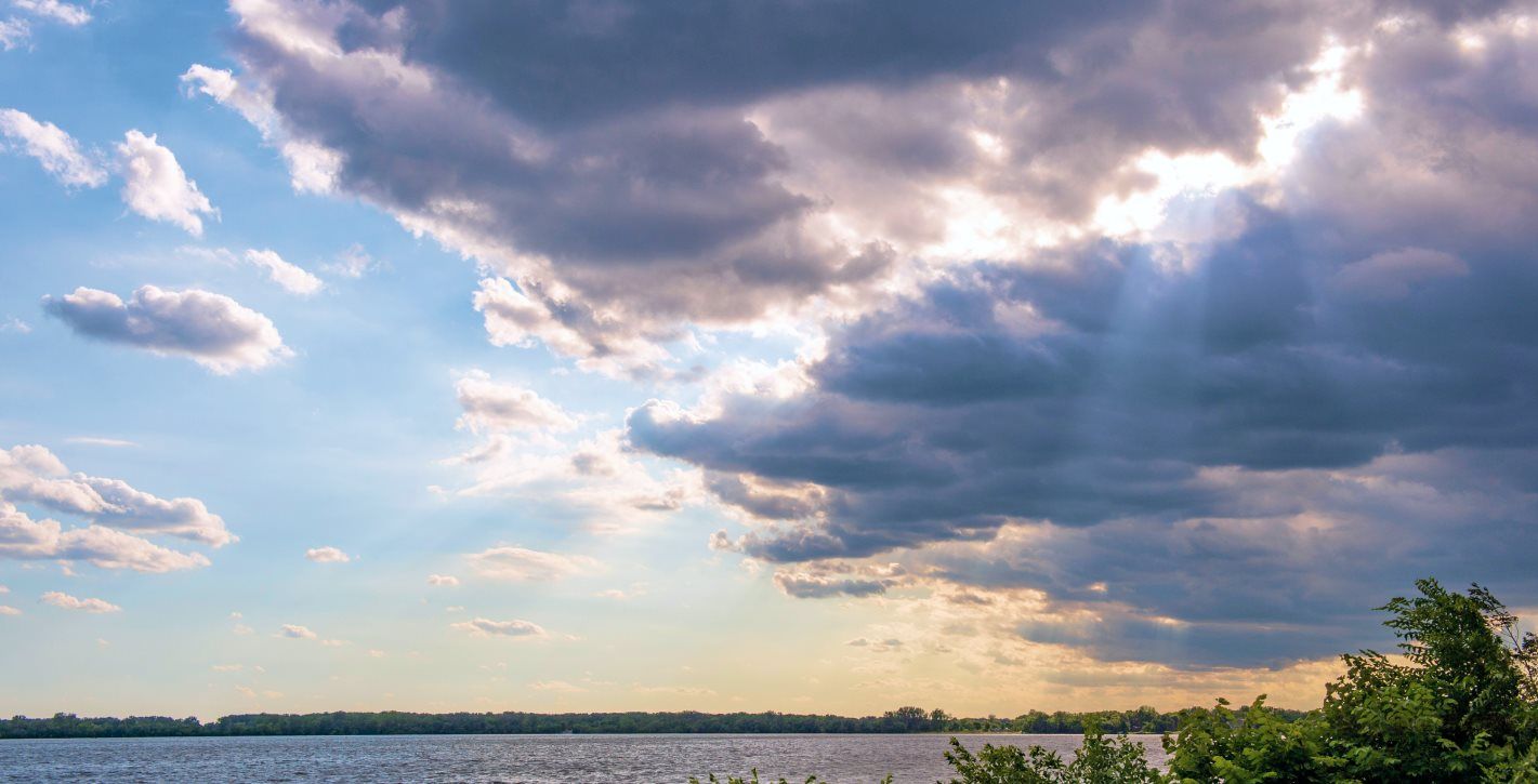 The Rice Creek Tributary
