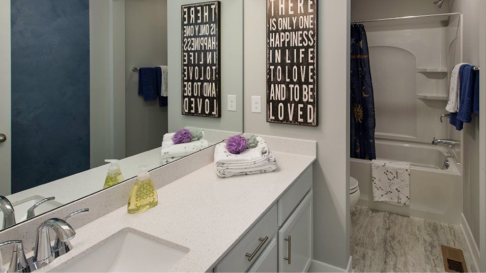 Vanderbilt Bathroom 2