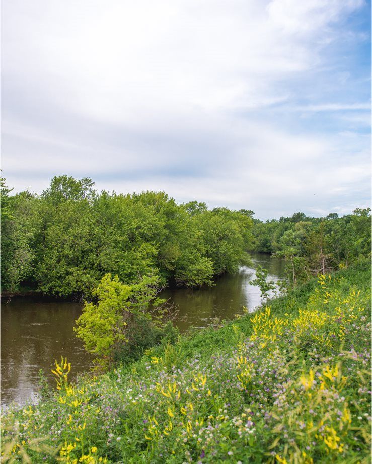 Enjoy nature views at Crow River