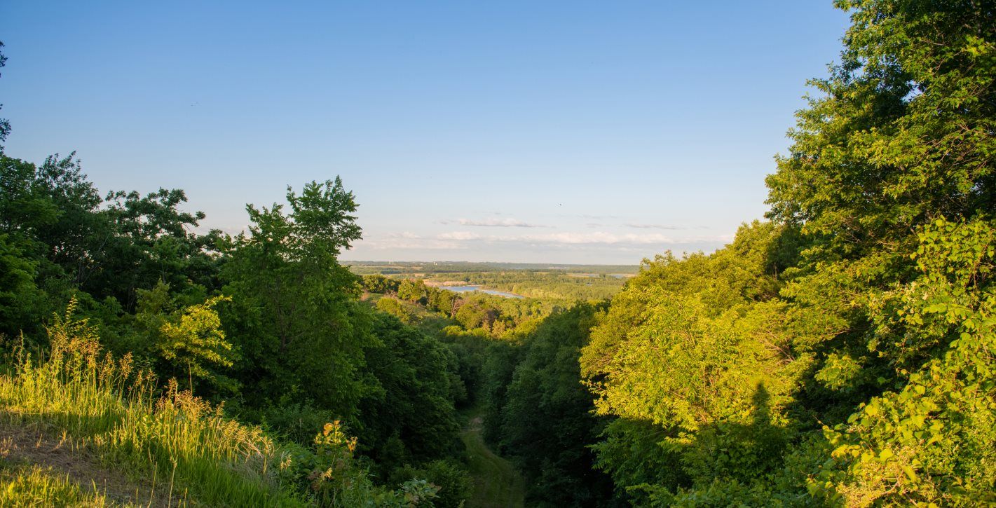 Whitetail Woods Regional Park