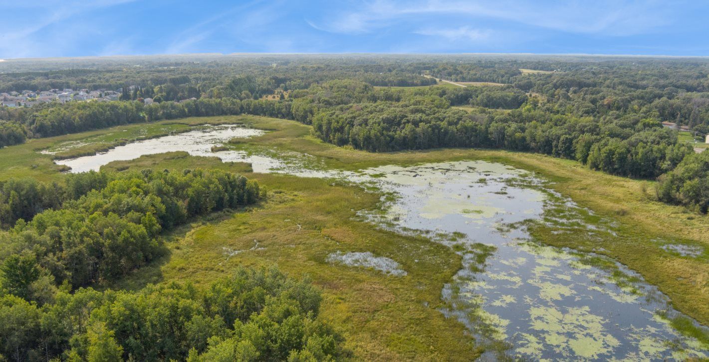 Zimmerman is enveloped by the serene beauty of marshes, ponds and lakes