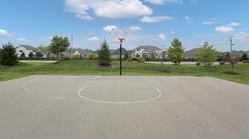Basketball Courts