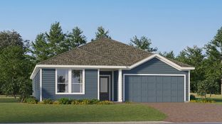 Mccartney - Wellness Ridge - Classic Collection: Clermont, Florida - Lennar