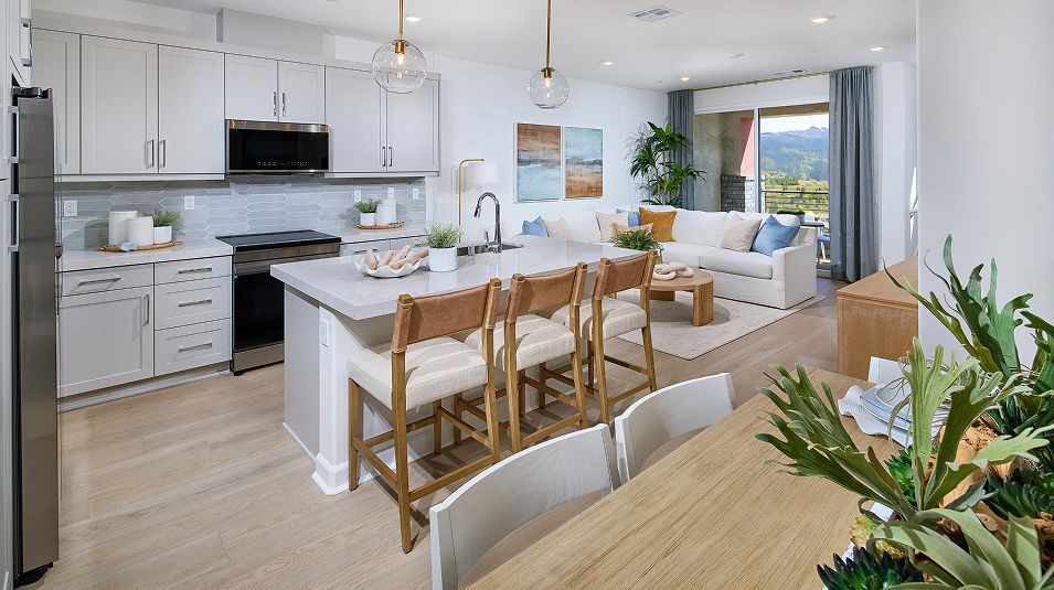 Element The Hill District Res2 Kitchen 1of3 F2