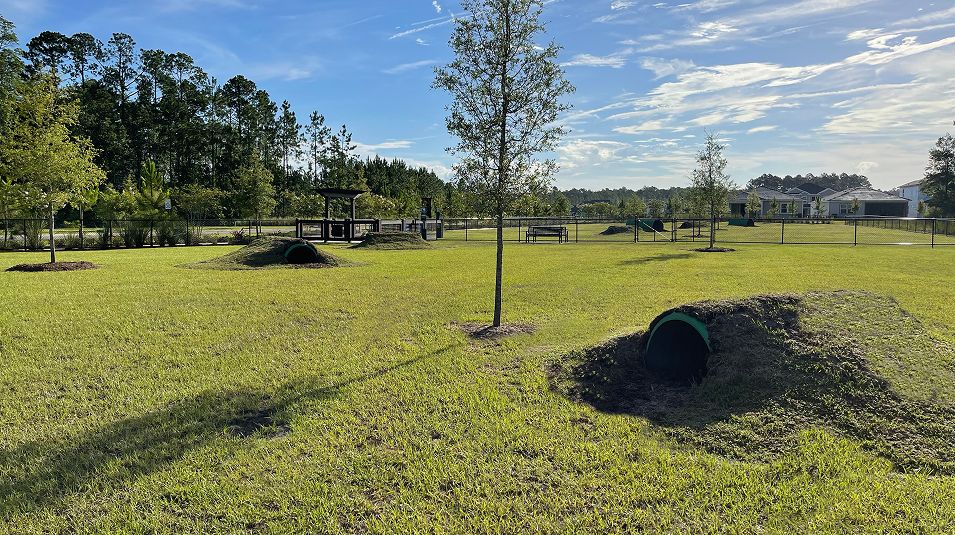 Tributary Amenities Dog Park 1 10 31 25