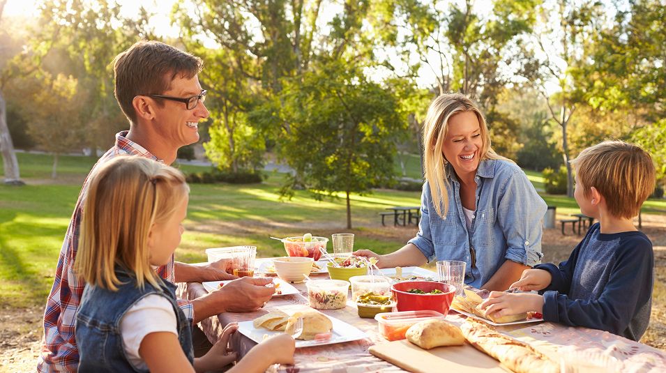 N Pic Gathering Picnic Family