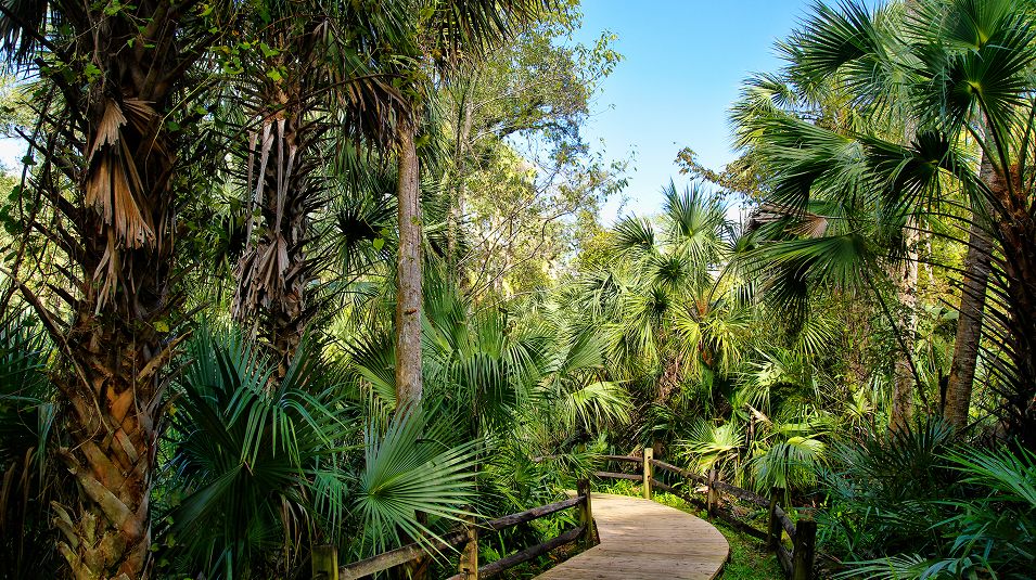 Pic Nature Trail