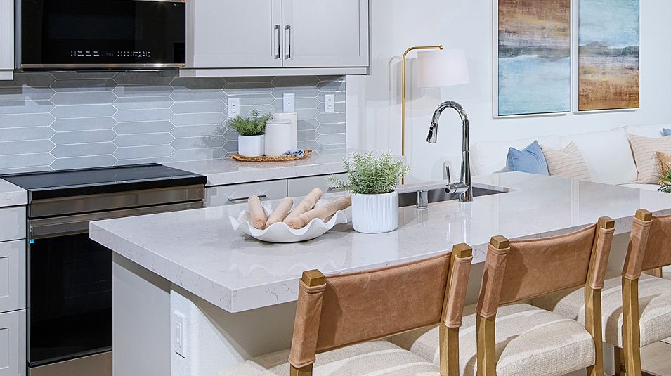 Element The Hill District Res2 Kitchen 1of3 F2