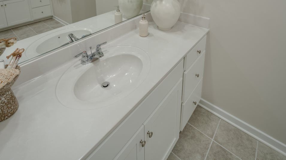 Owners Bathroom Sink