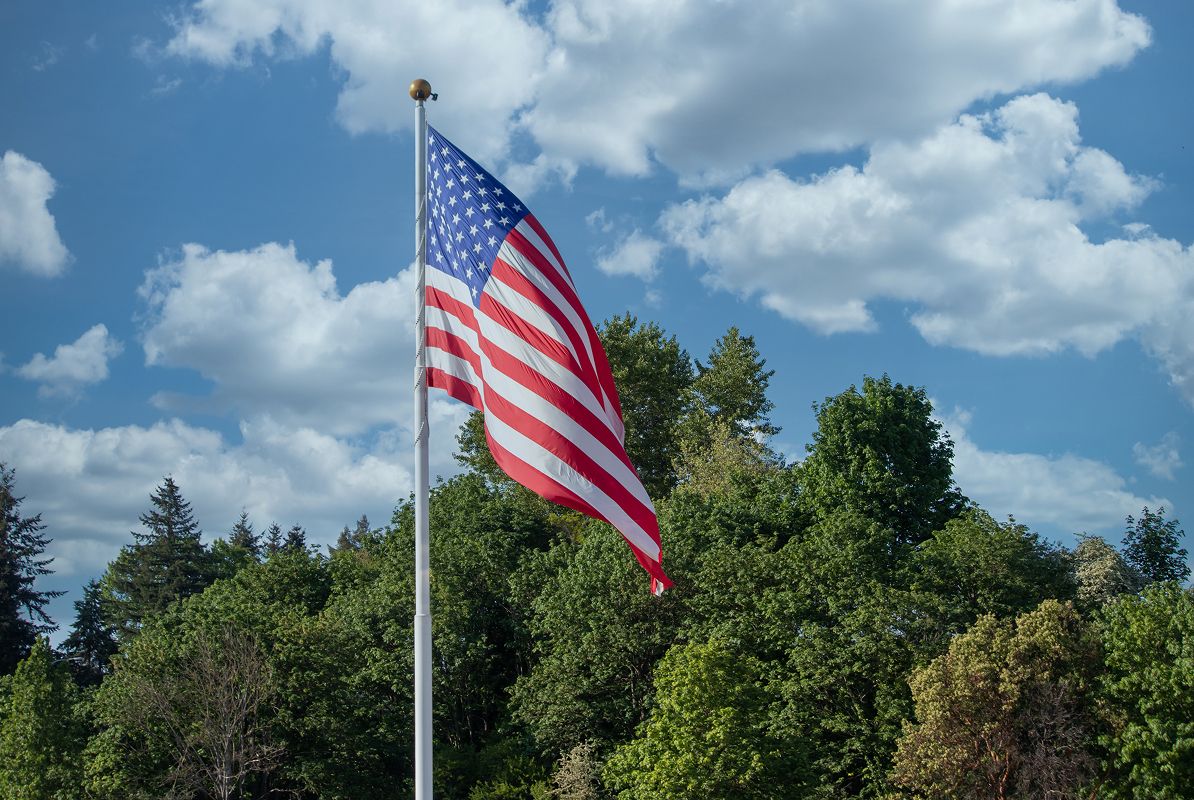 Pic American Flag Trees