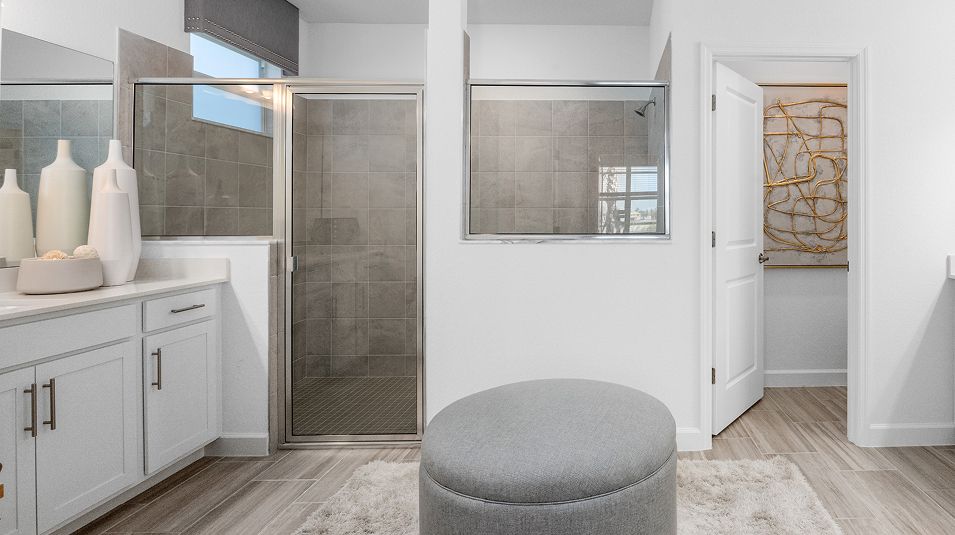 Palmetto EI Glass Enclosed Shower