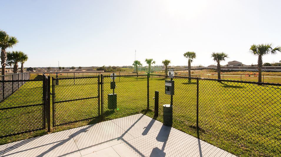 Dog park