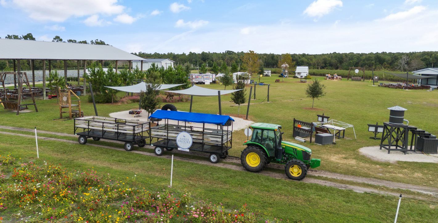 Amber Brooke Farms
