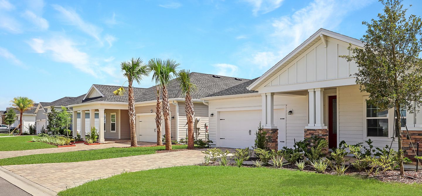 Silver Leaf Streetscape 2of3