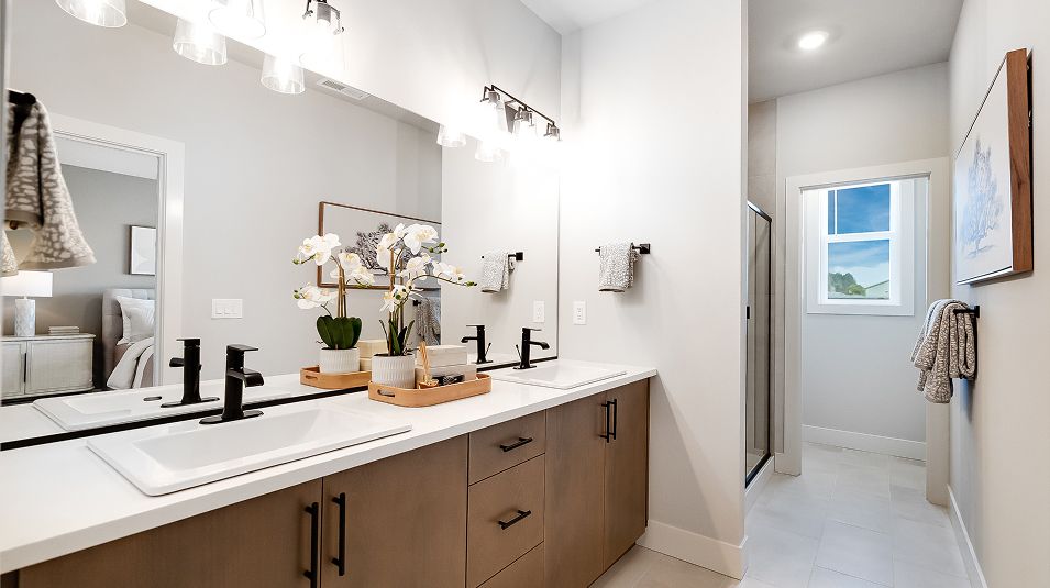 Scholls Heights Holden EI Owners Quartz Double Sinks F1