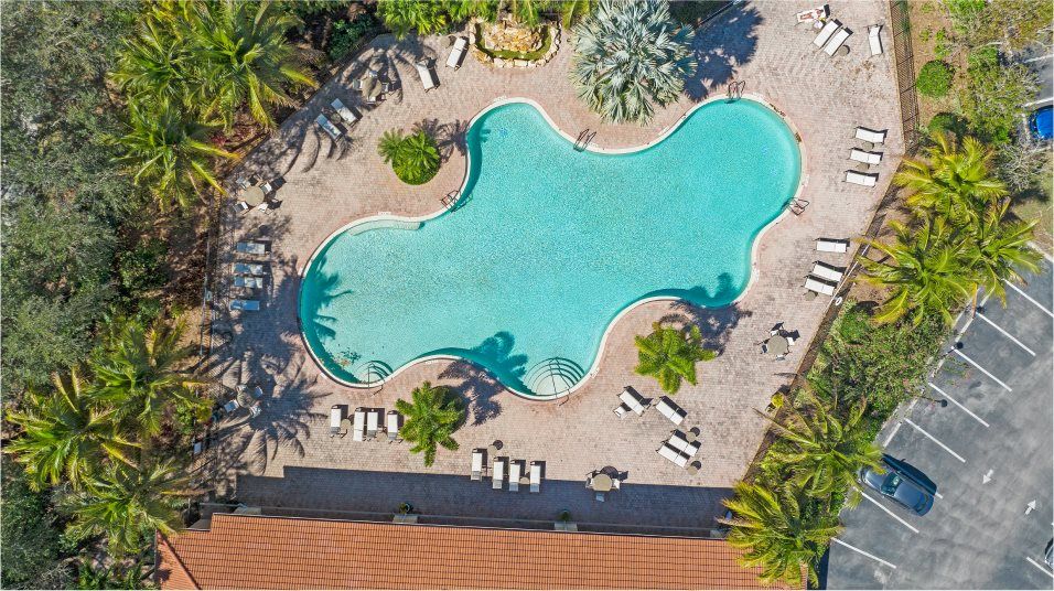 Aerial view of swimming pool