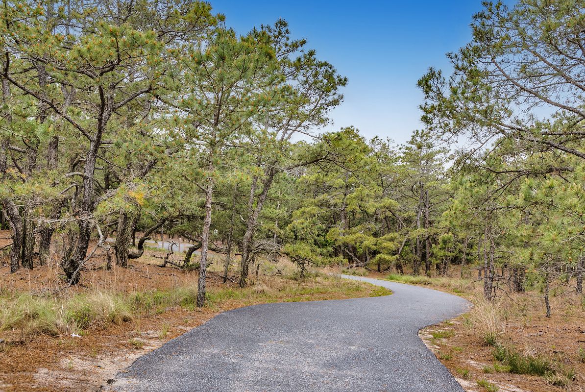 Lewes Cape Henlopen State Park Trails