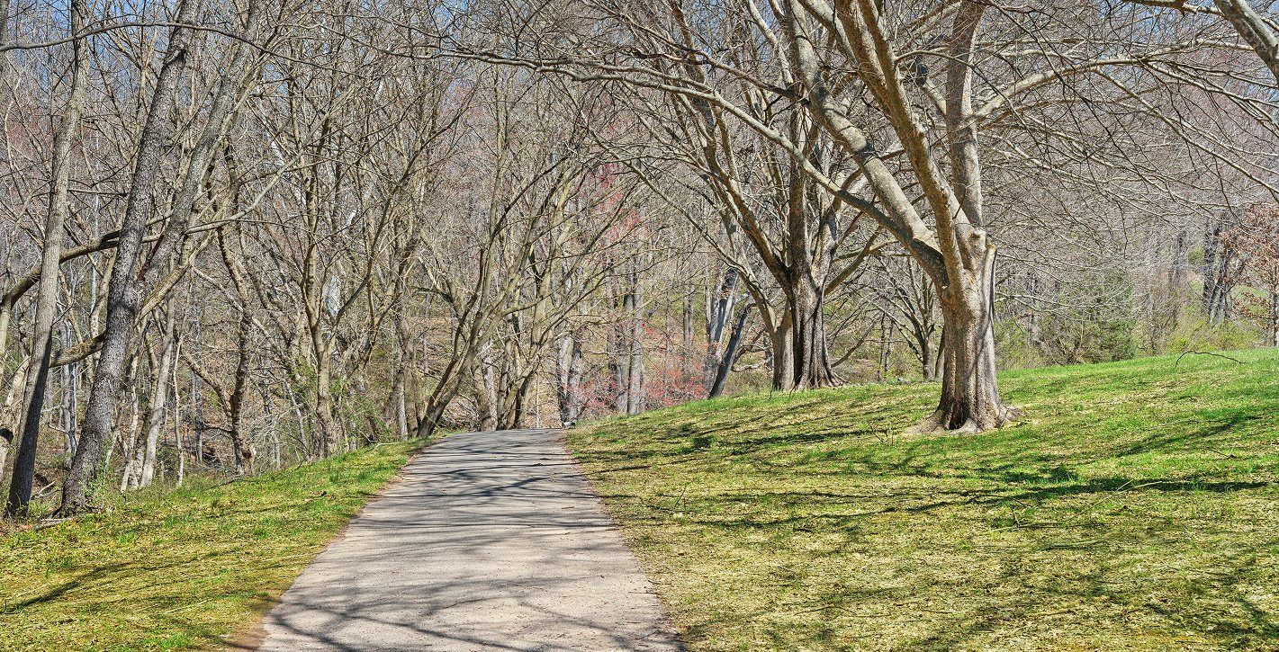 Black Hill Regional Park