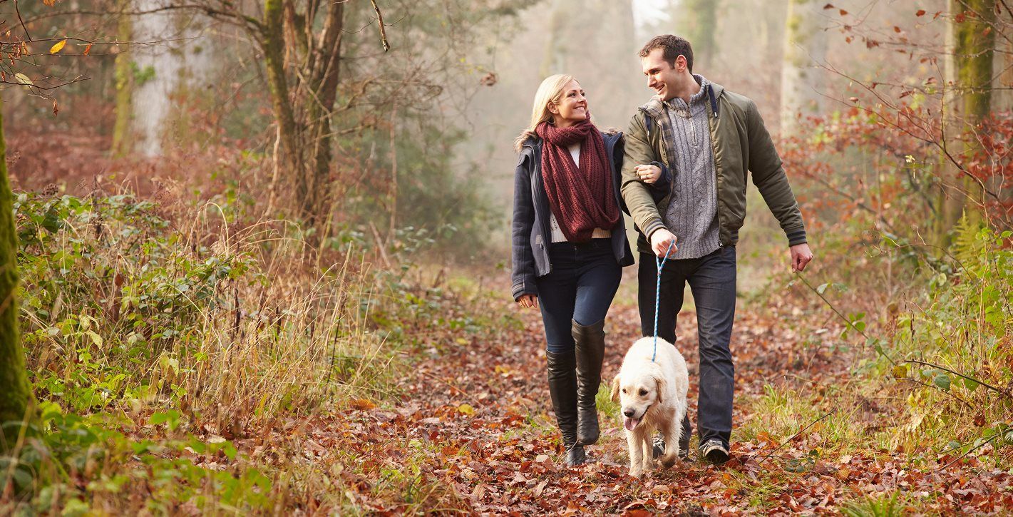 Couple walking through a scenic park
