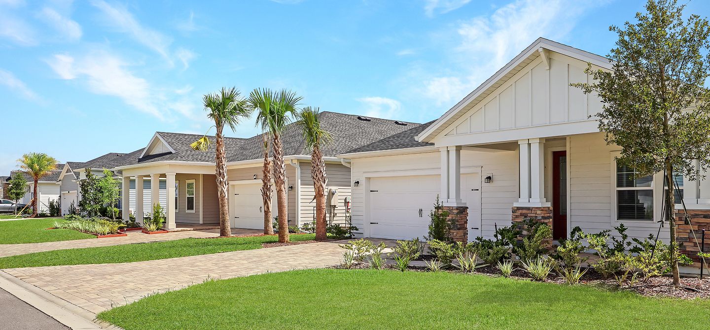 Silver Leaf Streetscape 2of3