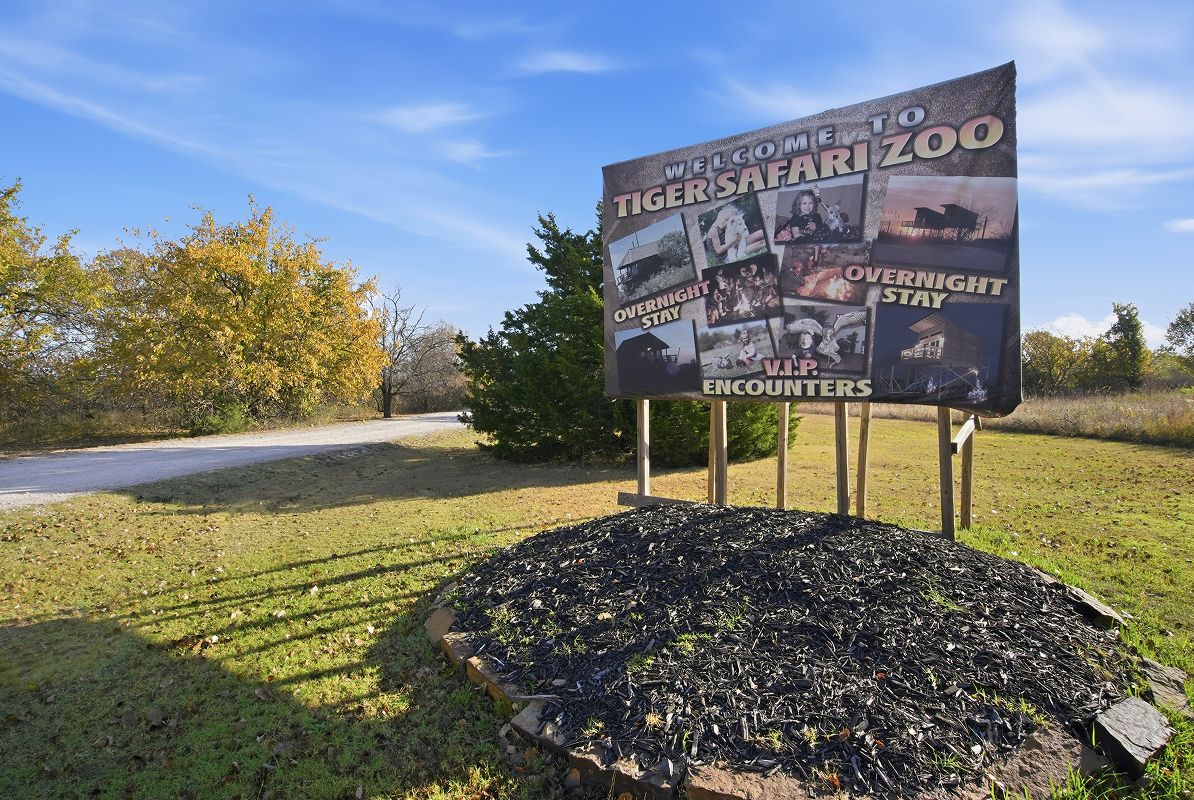 Tuttle Tiger Safari 4of5