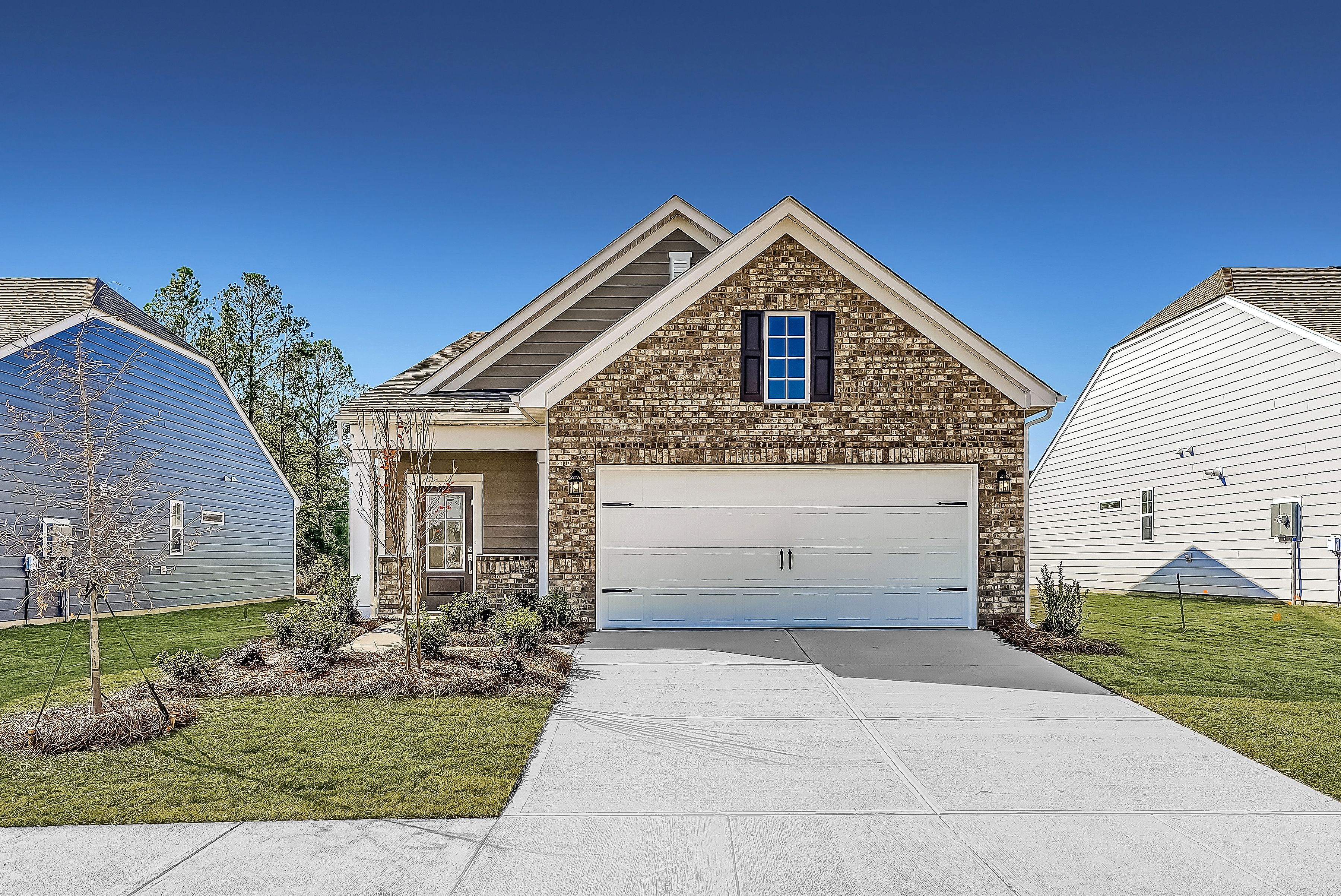 Chiffon II - Roselyn - Garden: Lancaster, North Carolina - Lennar