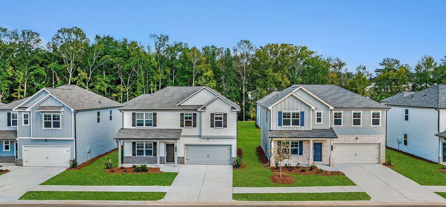 Buice Lake Aerial Streetscape 1of2