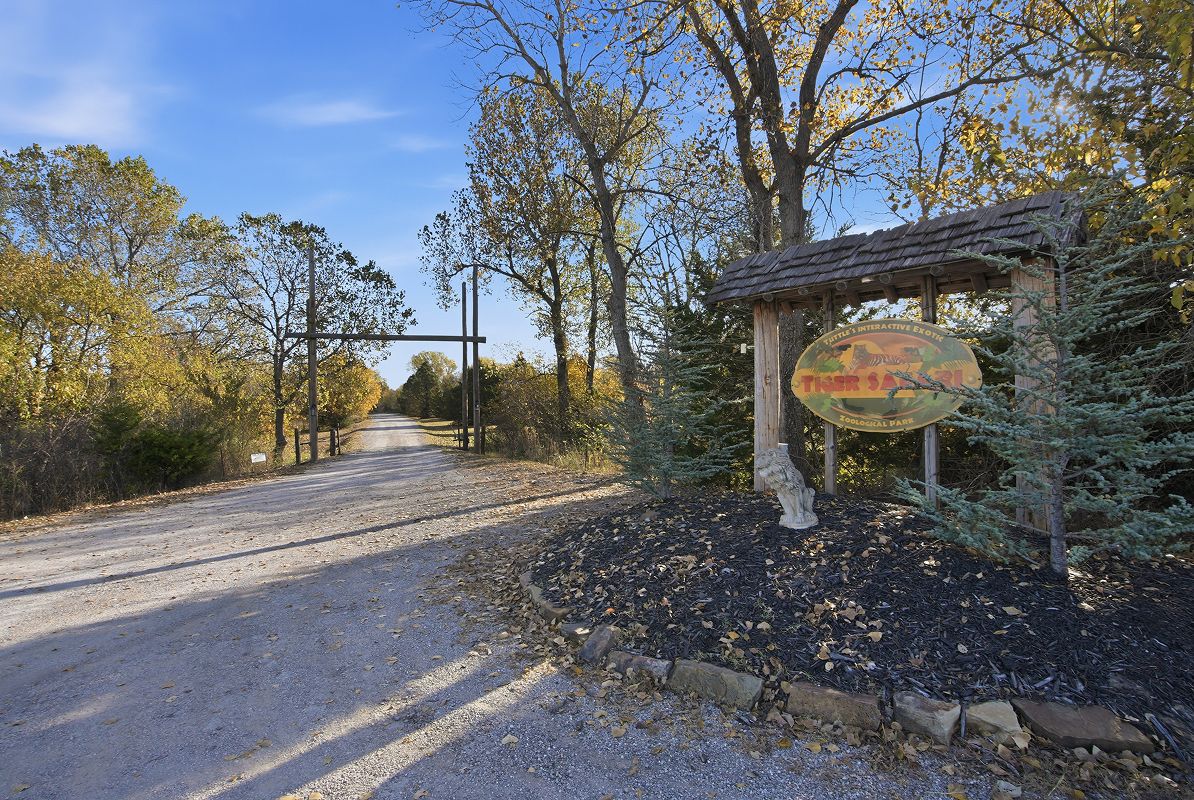 Tuttle Tiger Safari 2of5