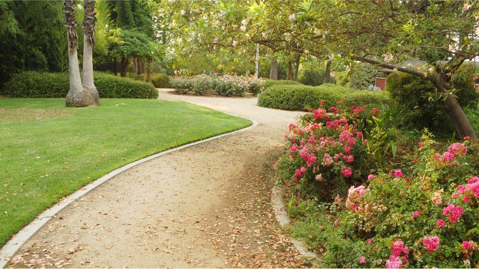 Walking trail