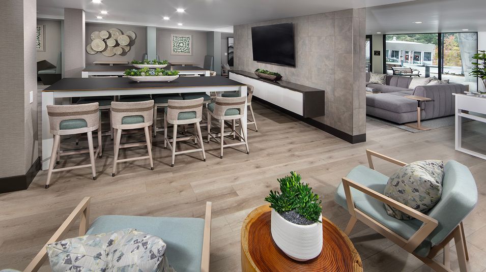 The Brant Amenity Clubhouse Residents Club 3of4