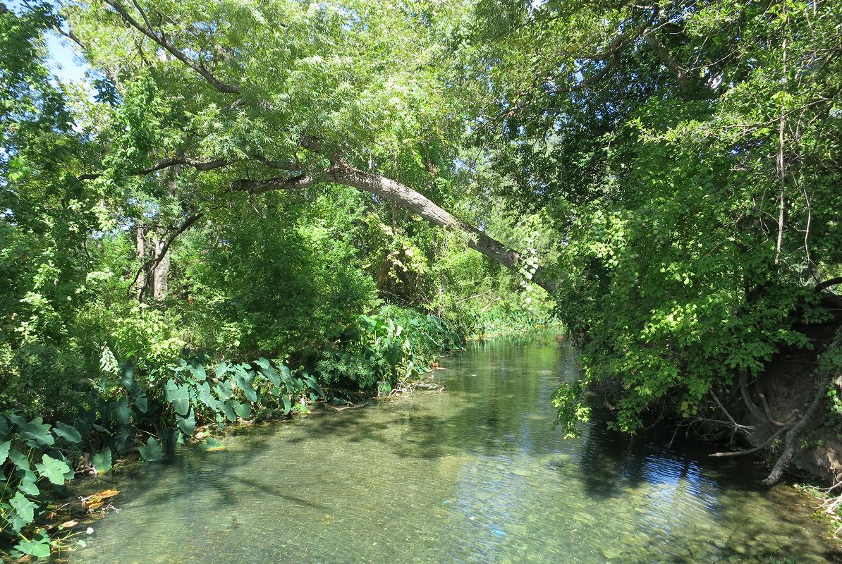 Seguin Guadalupe River 1of2