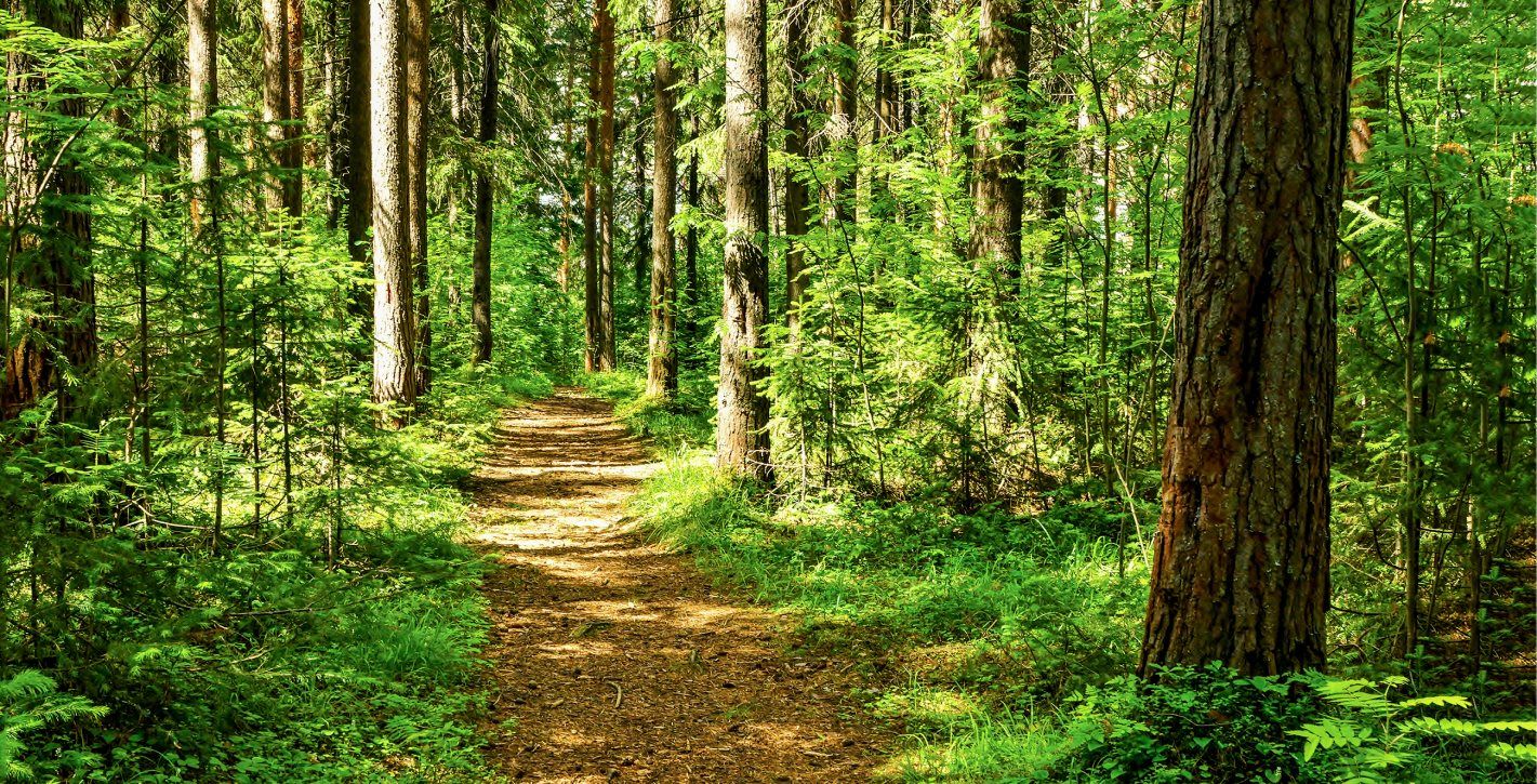 Nearby St. Michael's Farm Preserve