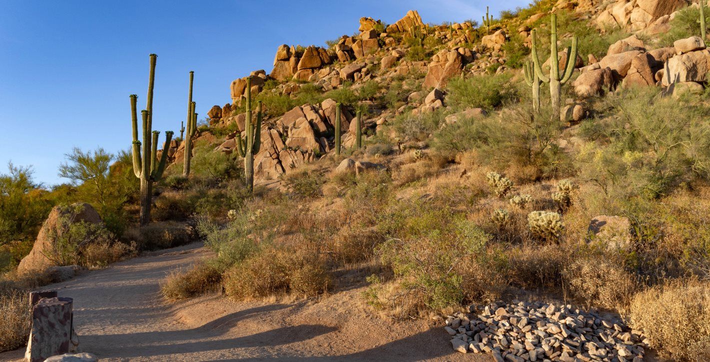 Desert trail at Pinnacle Peak