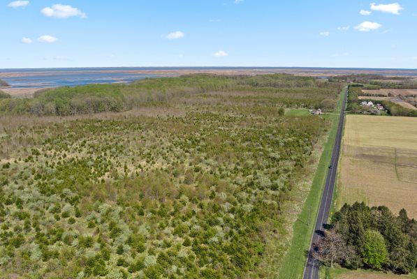 Bombay Hook National Wildlife Refuge