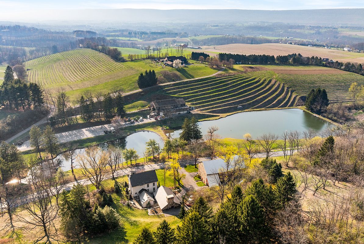 Lehigh Valley Fogelsville Blue Mountain Vineyard 1of5